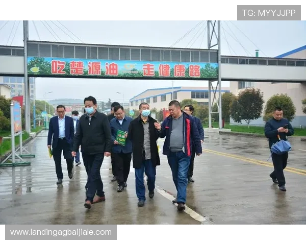 DB真人旗舰·集团运营管理经验:提升平台稳定性与盈利能力的实用技巧